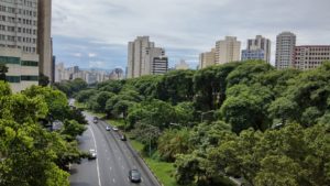 Sao Paulo skyline and greenery