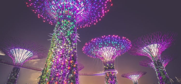 A view of Singapore's artificial trees, complete with walkways and lights.