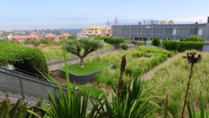 Four steps to finance nature-based solutions in cities