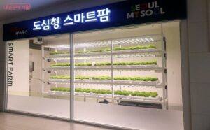 Smart Seoul: How the city is cultivating a tech push through urban farming and wildfire detection