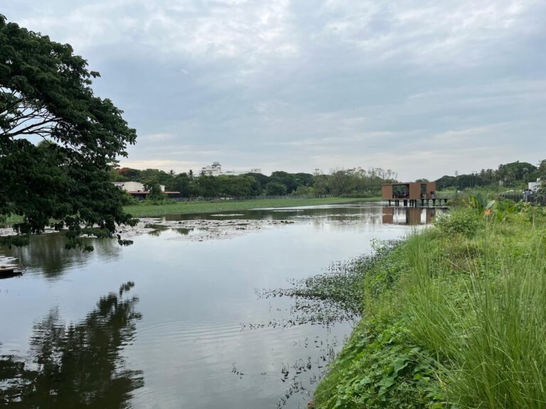 From asphalt to wetland sponge park: How Chennai is absorbing water and building resilience