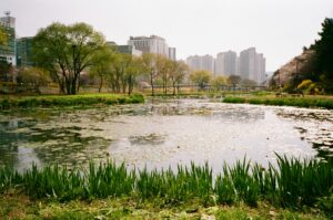 Building livable cities starts with water resilience
