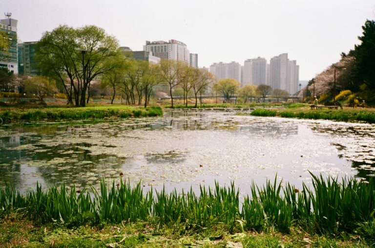 Building livable cities starts with water resilience