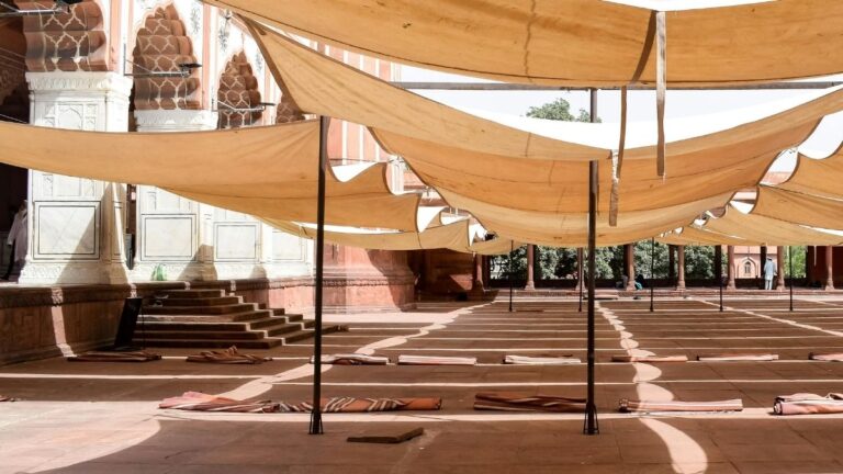 Keeping cities cool: Local solutions to the global heat challenge