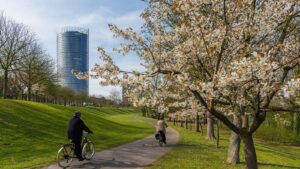 Put mental health at the heart of city decisions: A call to action for World Mental Health Day