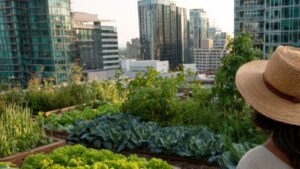CityFood’s journey to and at COP30: Local action driving global food system transformation