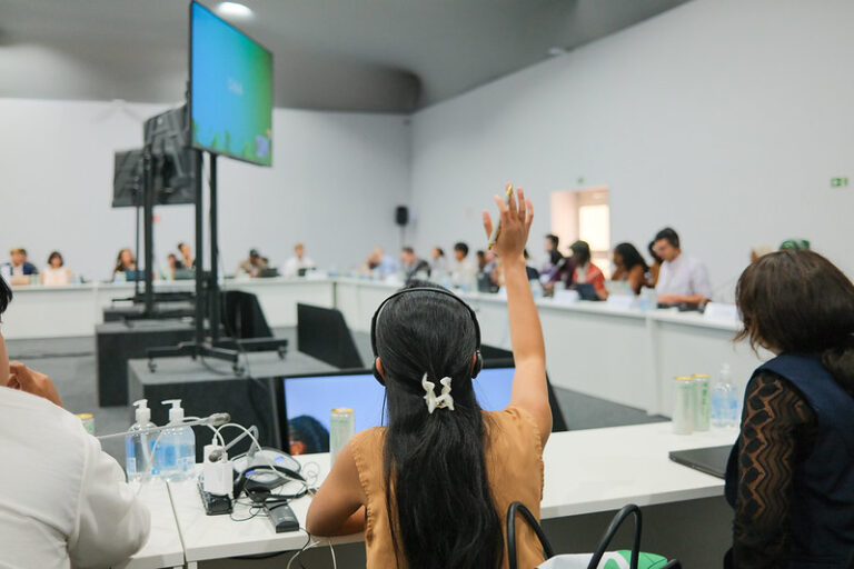 From local priorities to youth inclusive NDCs: What should COP30 deliver for youth?