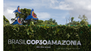 The forest COP that never turned into the cities’ COP 