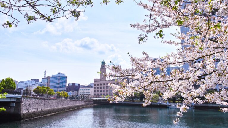 From best to next practices: Six city approaches for climate-neutral, flourishing urban futures