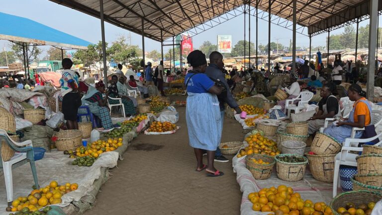 What Kisumu and Freiburg teach us about healthier food environments 