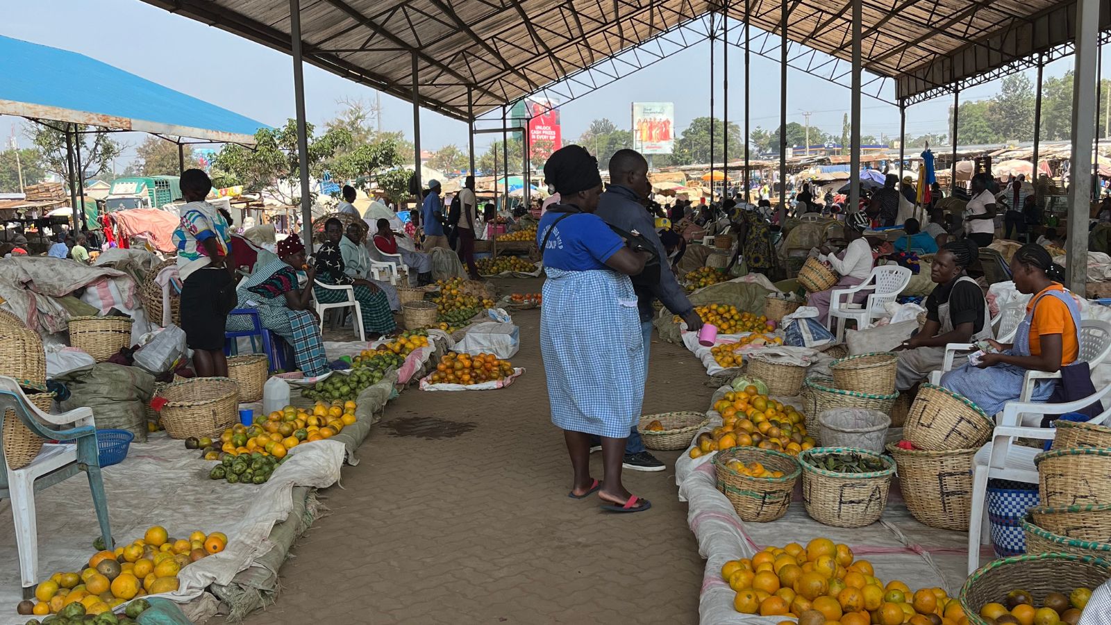 What Kisumu and Freiburg teach us about healthier food environments 